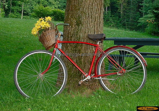Bicycle -- Barneveld, NY